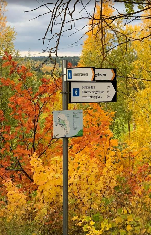 Strandgarden Hoverberg. Svenstavik Buitenkant foto